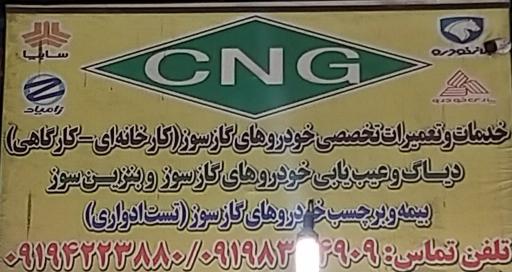 خدمات خودروهای گازسوز