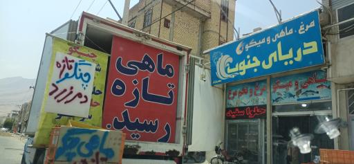 عکس مرغ و ماهی فروشی دریای جنوب