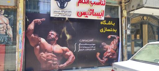 عکس تناسب اندام ایساتیس