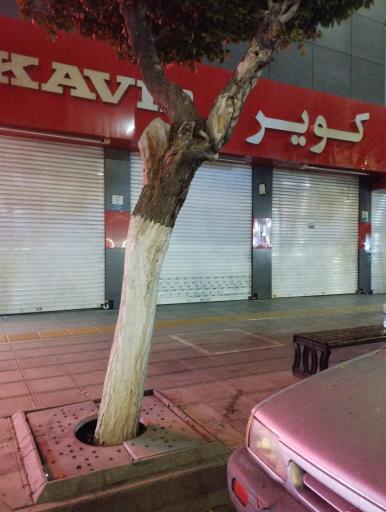 فروشگاه کویر موتور