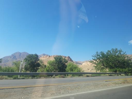 عکس برزک