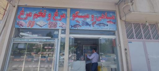 عکس مرغ و ماهی فروشی دریای جنوب