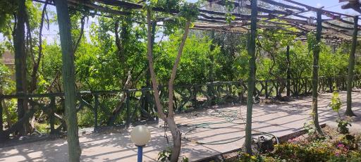 عکس هتل جهانگردی اردستان