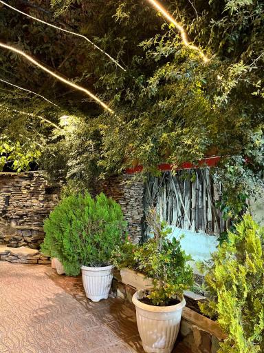 عکس سفره خانه یاس