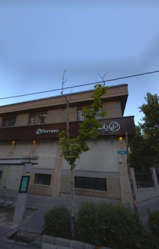 عکس کفش پامارو