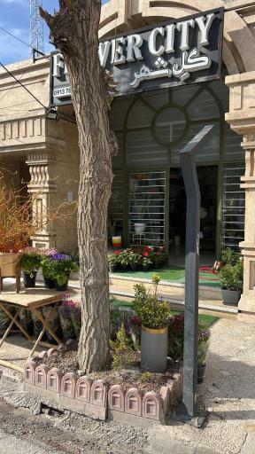 عکس گل فروشی گل شهر