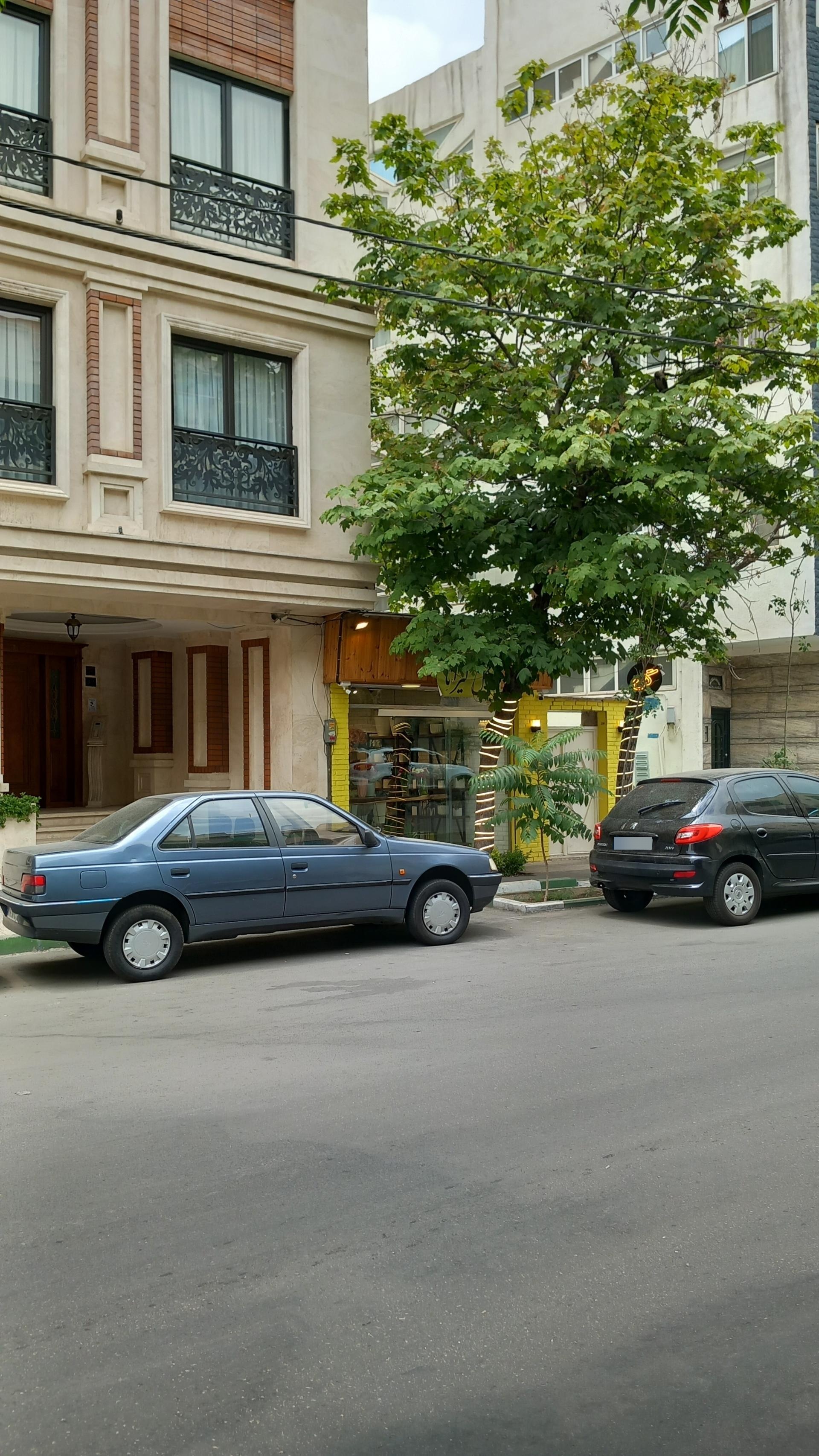 عکس گل لیراتا