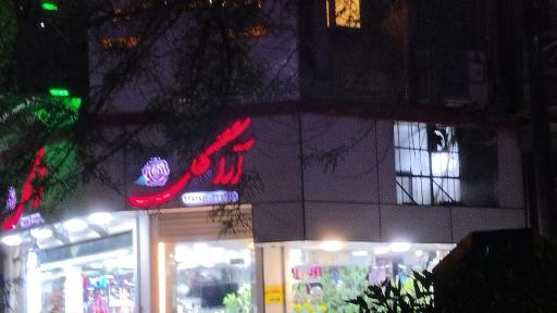 گلفروشی آراگل