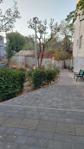 عکس بوستان درنا
