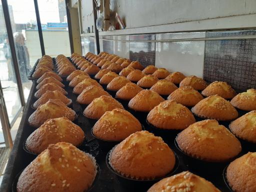 عکس نان فانتزی پویان