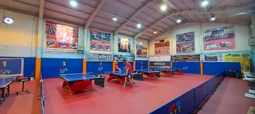 عکس سالن ورزشی توحید