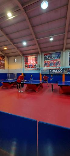 عکس سالن ورزشی توحید