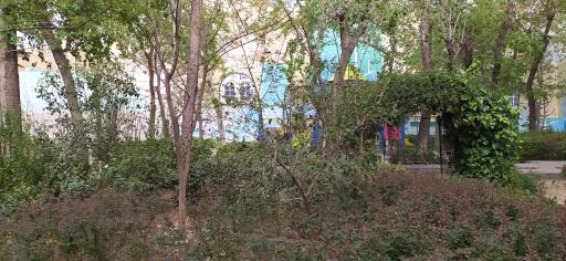 عکس پارک نور