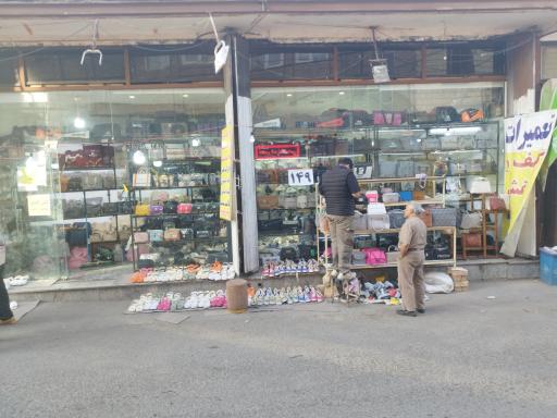 عکس کیف و کفش شیکو