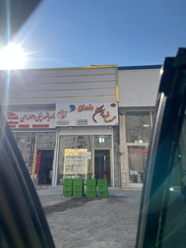 عکس مرغ پر کن داوری