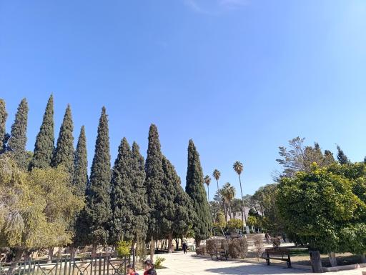 عکس آرامگاه سعدی