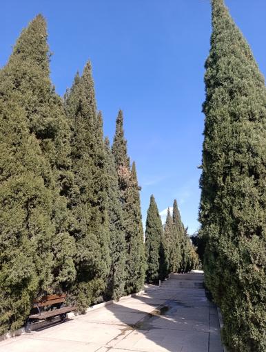 عکس آرامگاه سعدی