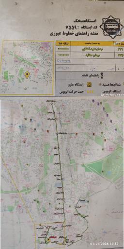 عکس میخک
