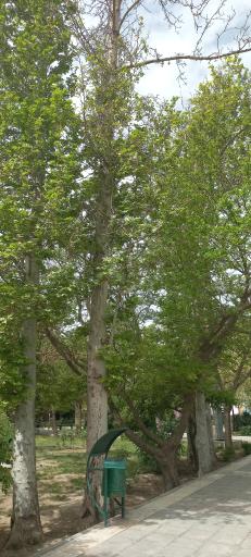 عکس بوستان شهدای وردآورد