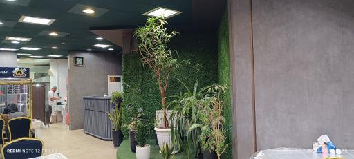 عکس رستوران و غذا آماده ملک