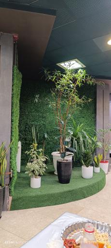 عکس رستوران و غذا آماده ملک