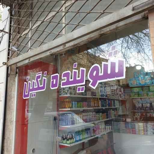 عکس فروشگاه شوینده بهداشتی نگین