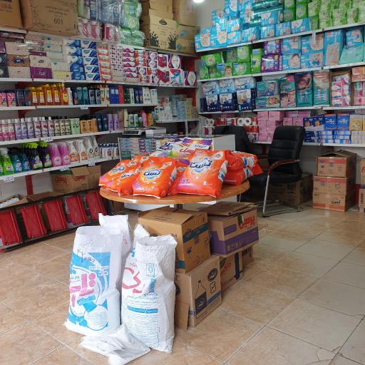 فروشگاه شوینده بهداشتی نگین