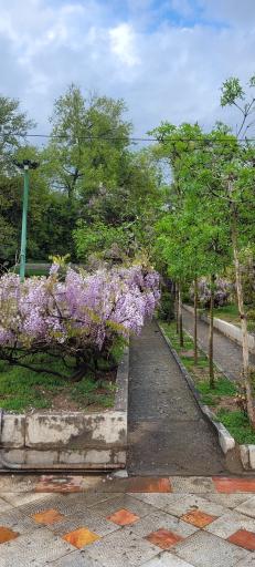 عکس بوستان نیاوران