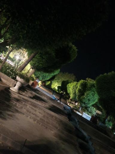 عکس بوستان نیاوران