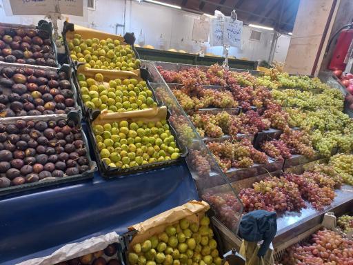 عکس بازار روز میوه و تره‌بار شهید توکلی