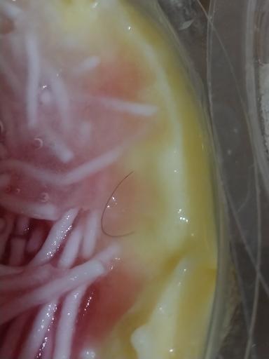 عکس آبمیوه و بستنی عمو امیر