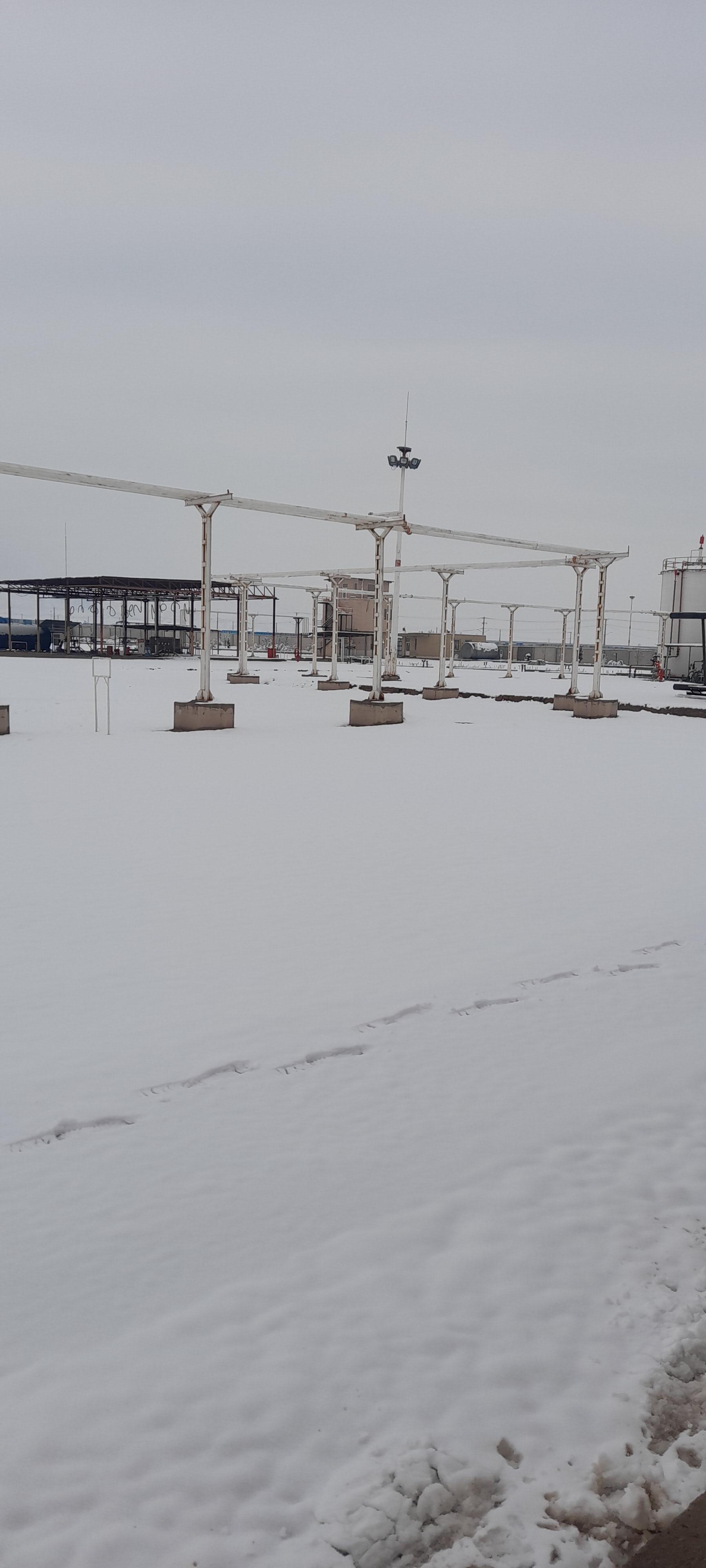 عکس شرکت آریا پالایش ارگ