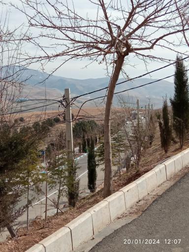 عکس پارک بلوط 