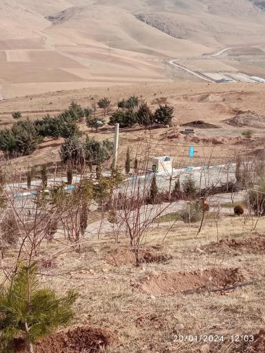 عکس پارک بلوط 