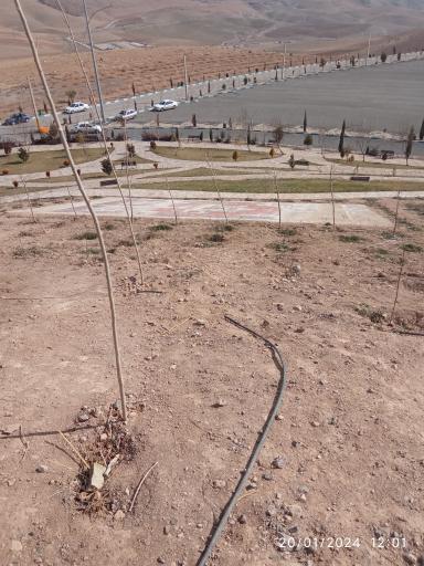 عکس پارک بلوط 