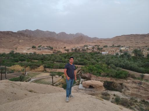 عکس طبس