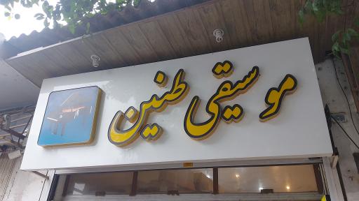 عکس موسیقی طنین