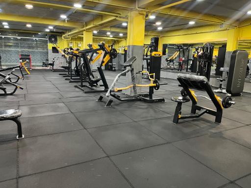 عکس باشگاه بدنسازی اکسیژن