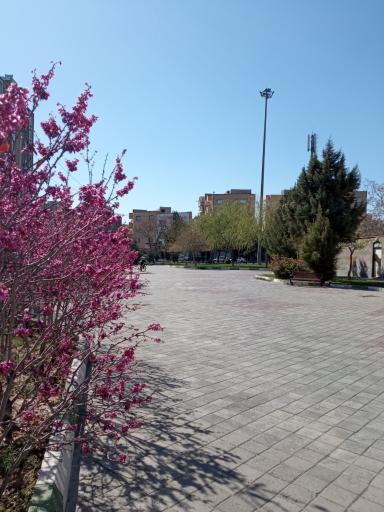 عکس پارک کوی البرز