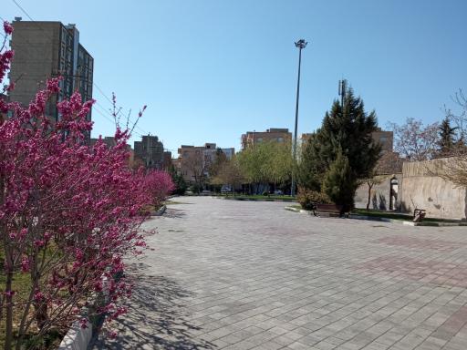 عکس پارک کوی البرز