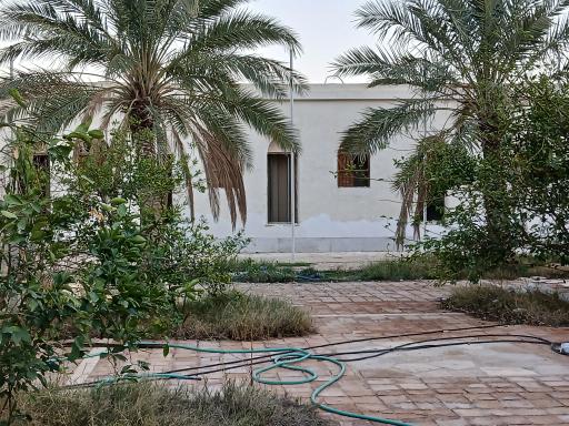 عکس موزه شهید رییس علی دلواری