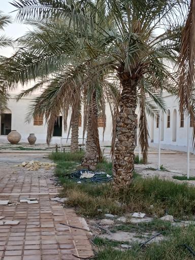 عکس موزه شهید رییس علی دلواری