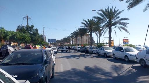 عکس بوستان زیتون