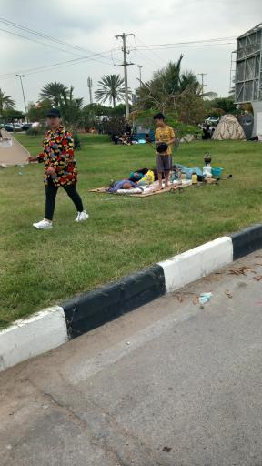 عکس بوستان زیتون