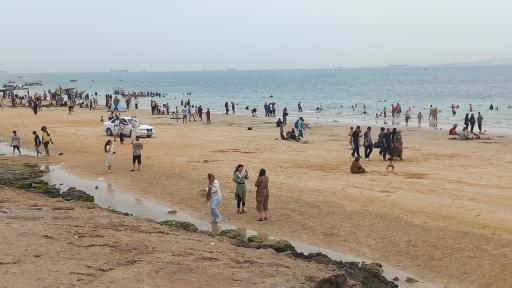 عکس بوستان زیتون