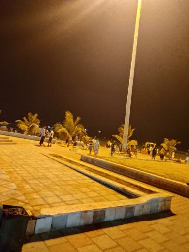 عکس بوستان زیتون