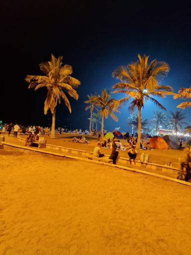 عکس بوستان زیتون