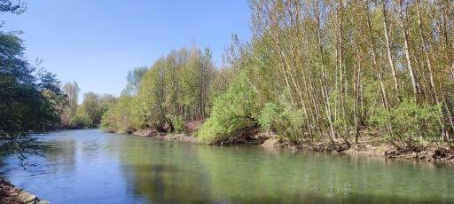 عکس باغبادران