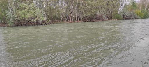 عکس باغ بهادران