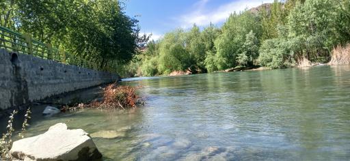 عکس باغبادران